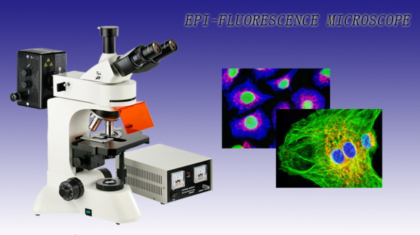 microscopes